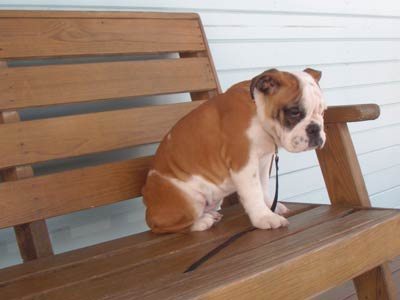 Sad on the Bench