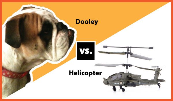 Dooley vs. Helicopter